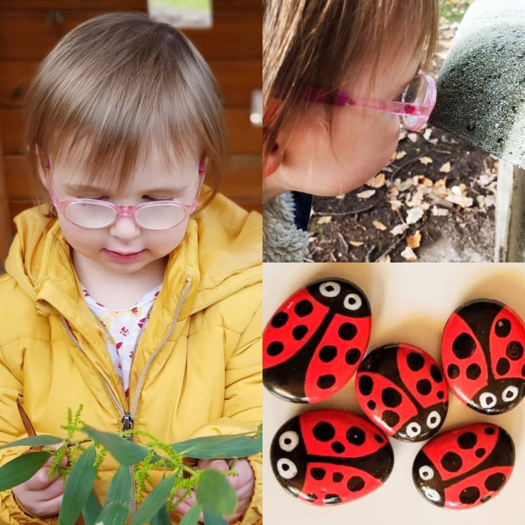 🌿🐞 Ladybug Craft🐞🌿