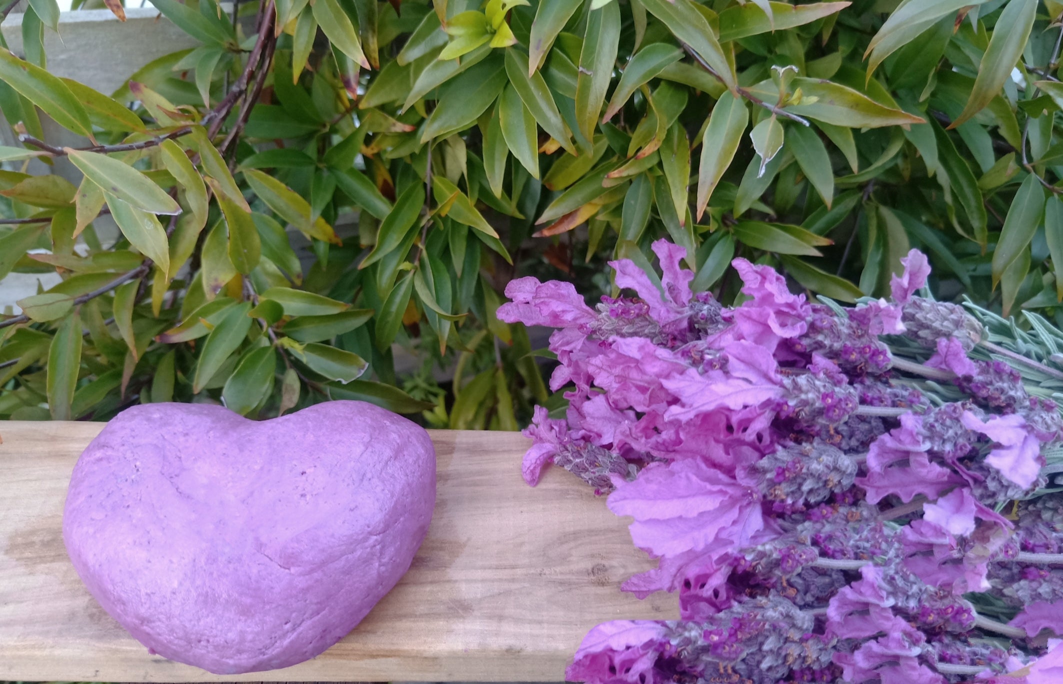 🌿💜 Blueberry Lavender Playdough💜🌿