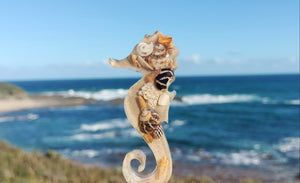 Seahorse fridge magnet