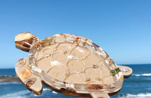 Nature turtle tray