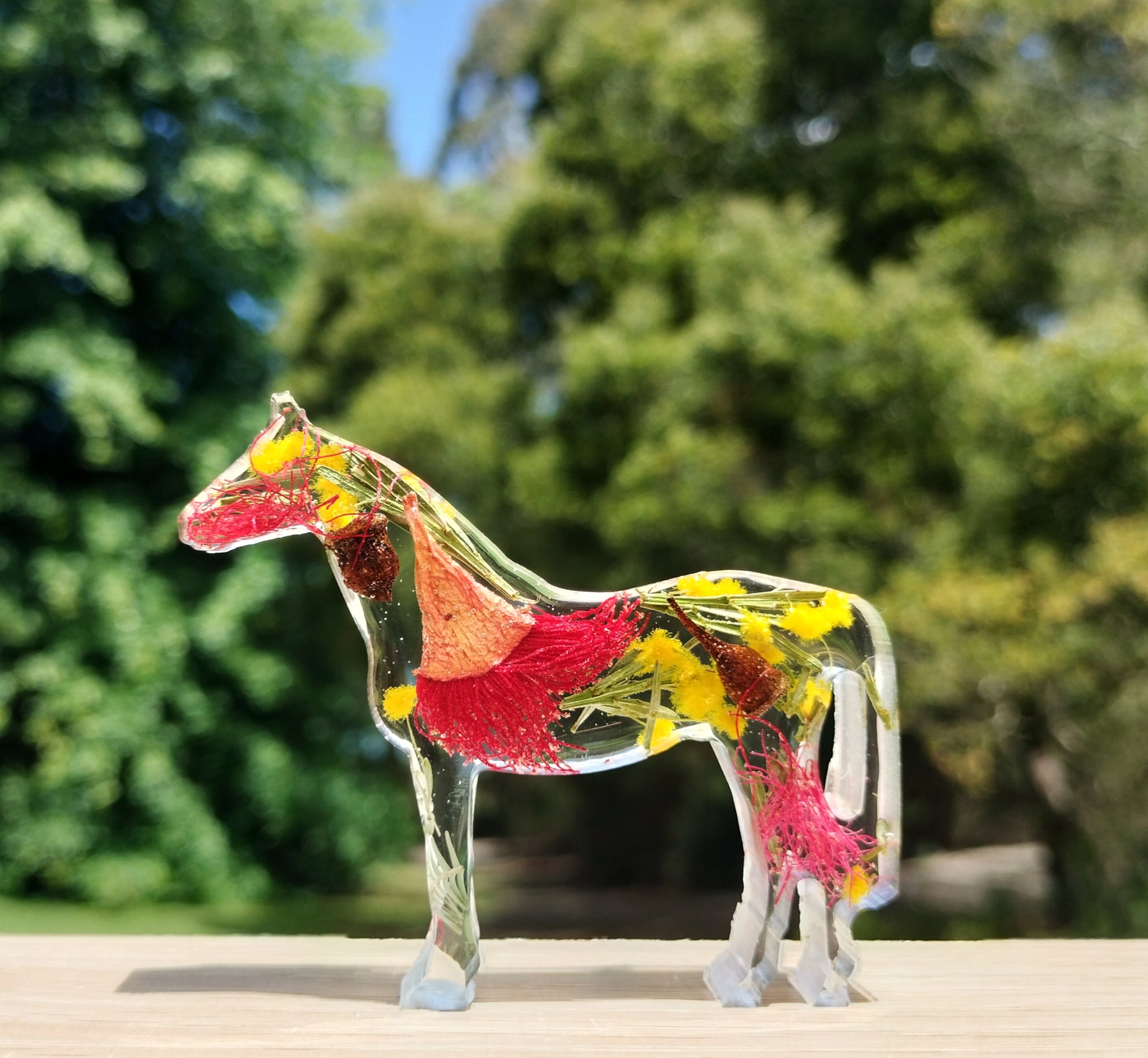 Mini Horses & Magnets